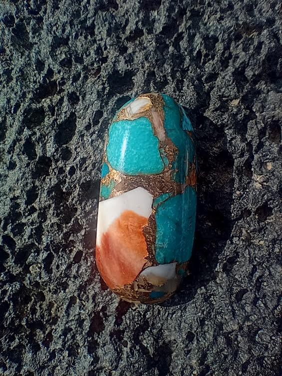 Turquoise and Spiny Oyster Cabochon